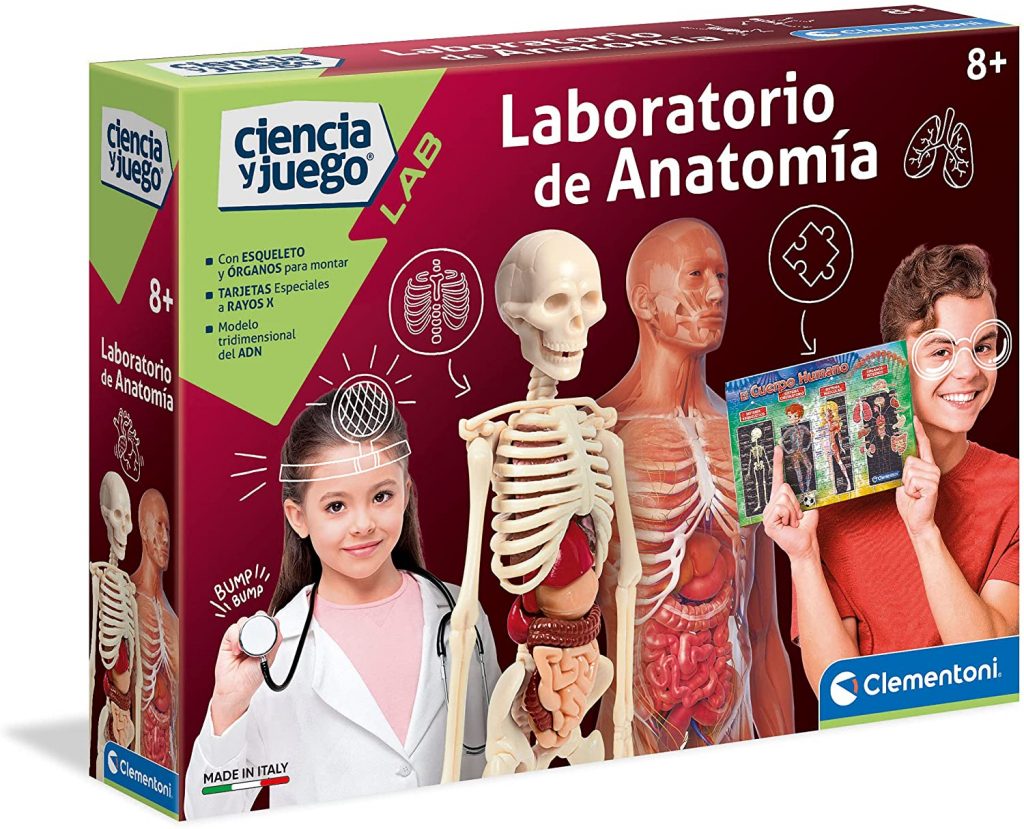 juguete STEM juego de anatomía